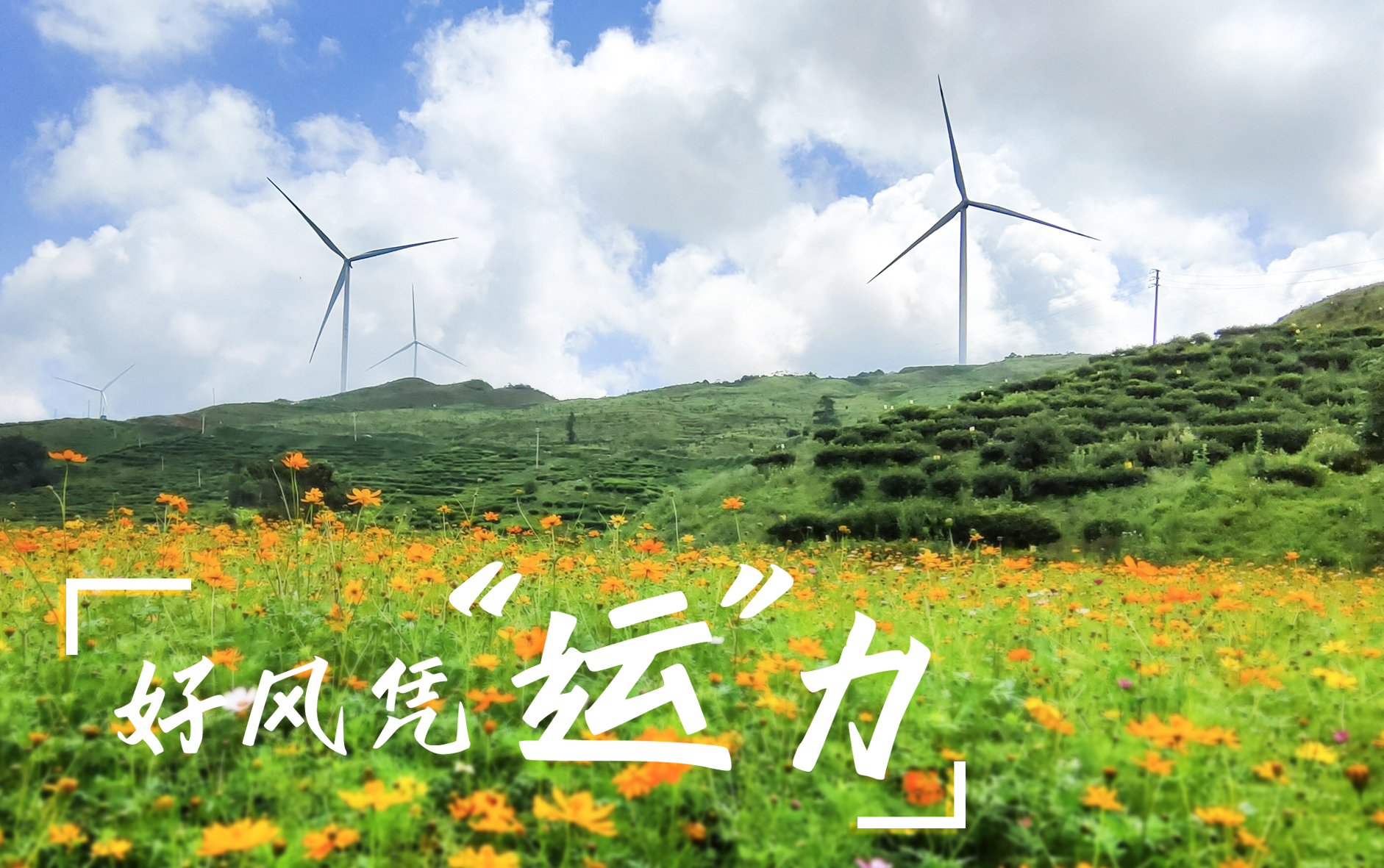 【好风凭&ldquo;运&rdquo;力】&ldquo;大风车&rdquo;转出乡村振兴新路子